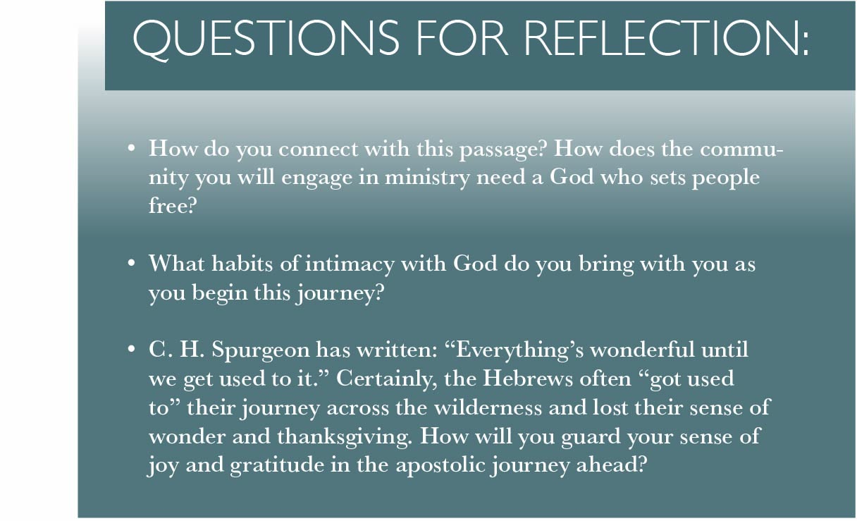 Questions For Reflection